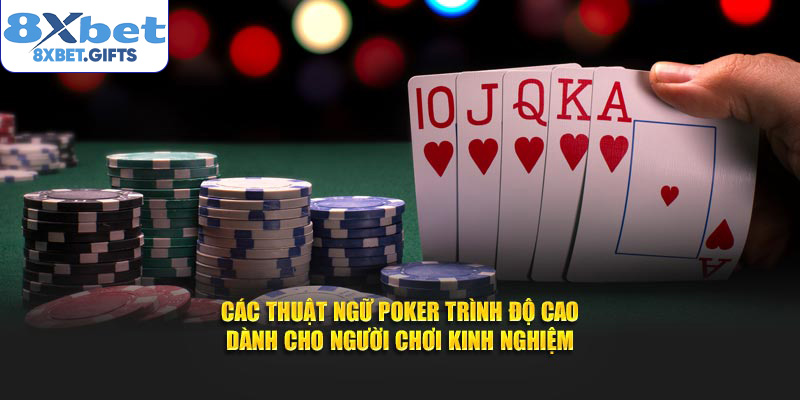 Các thuật ngữ poker trình độ cao dành cho người chơi kinh nghiệm