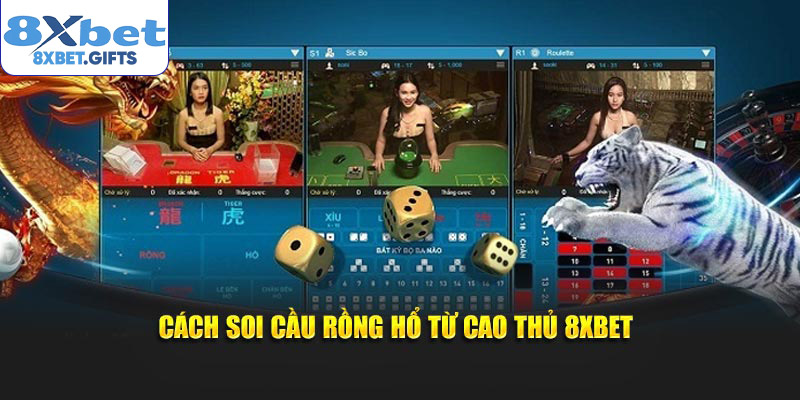 Cách soi cầu rồng hổ từ cao thủ 8xbet