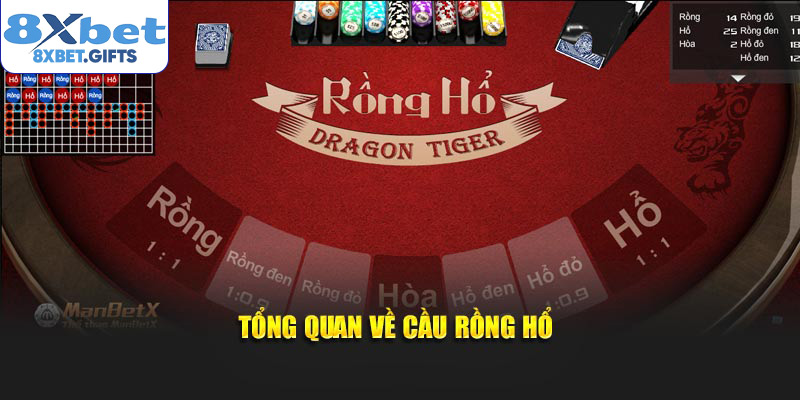 Tổng quan về cầu rồng hổ